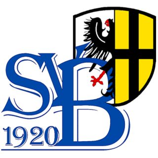 https://svbollendorf.de/wp-content/uploads/2019/01/Logo-320x320.jpg